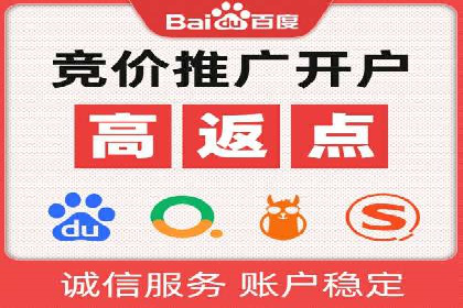 SEM优化策略案例分析