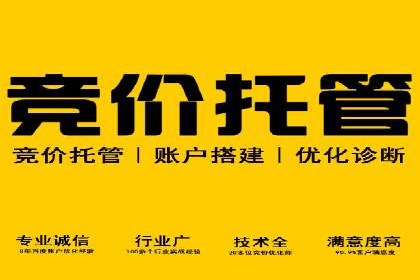 竞价SEM托管服务：成功案例揭秘